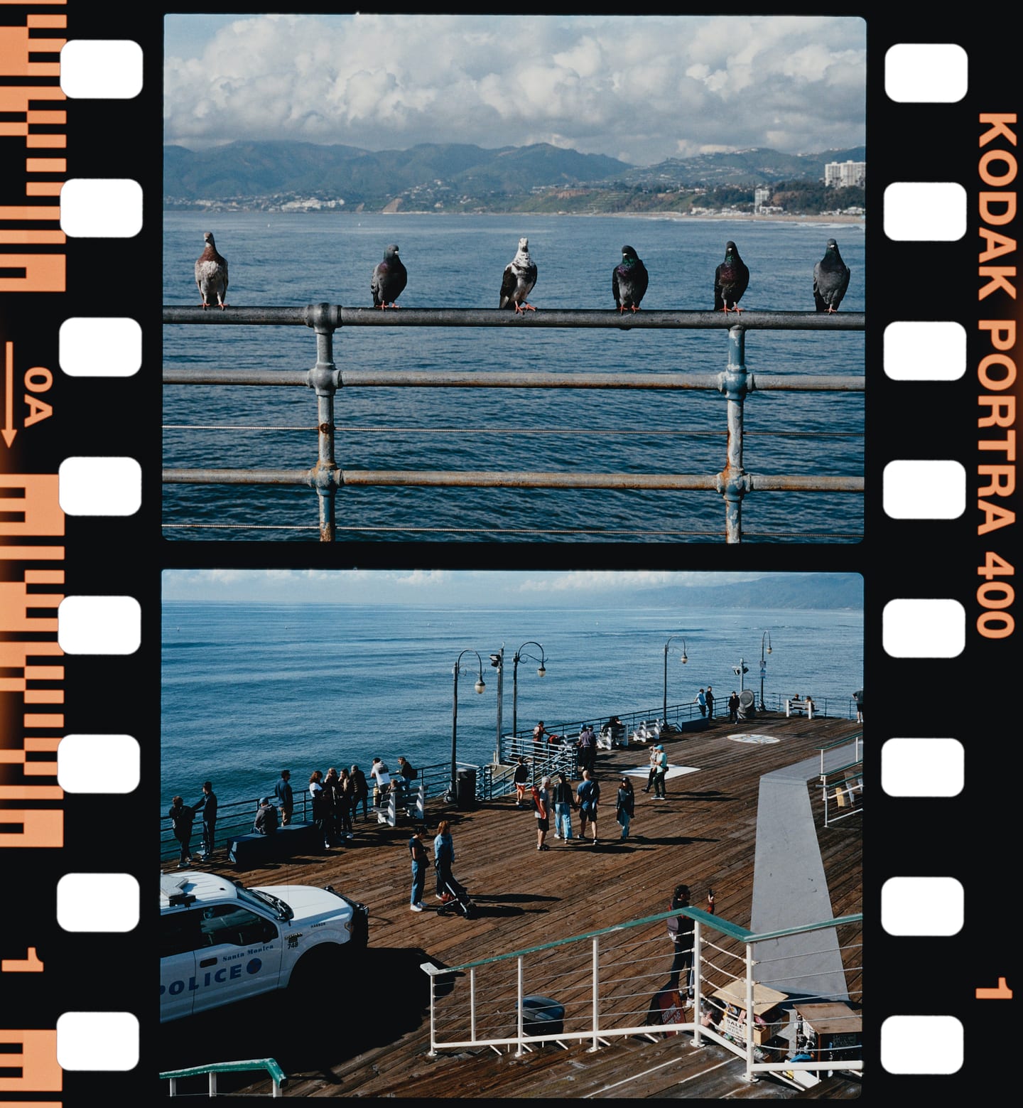 A finished half-frame pair on Kodak Portra 400: birds on a railing above a pier.